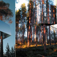 Illustration for article titled Mirrored Treehouse Hotel Makes You Invisible in the Forest
